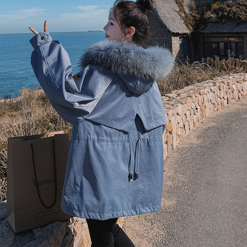 ブルーファーフードコート